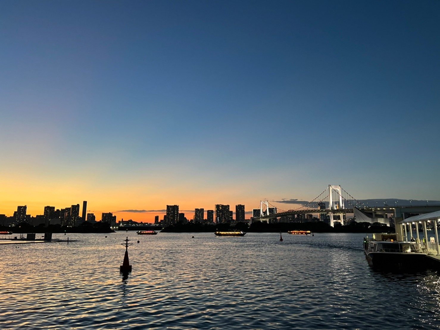 ODAIBA SUNSET BEACH CLEAN 間瀬のりよし